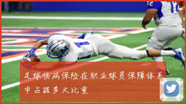 足球伤病保险在职业球员保障体系中占据多大比重