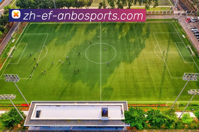 安博体育APP 高清赛事图